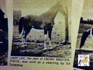 Lady Lee dam of Ebony Masterpiece