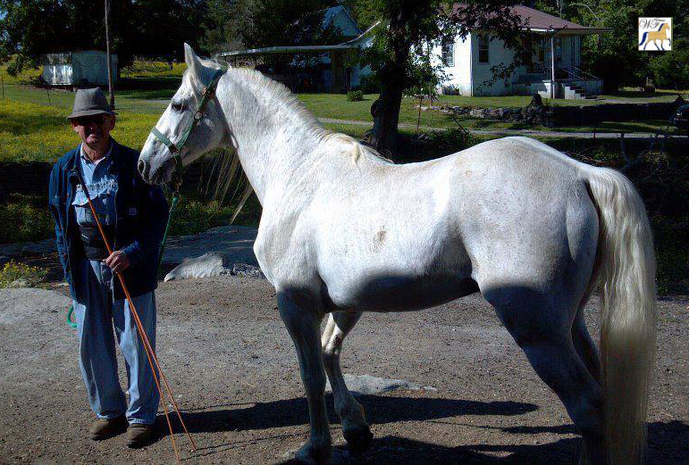 Bud's Sterling Bullet