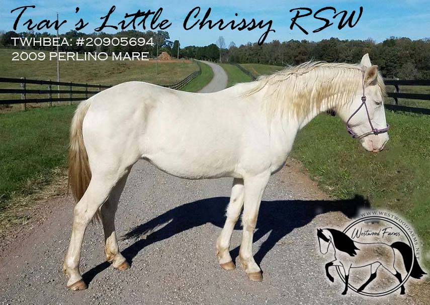 Trav's Little Chrissy RSW